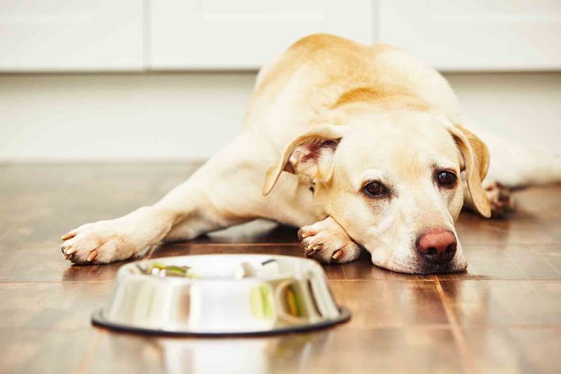 Digestive Disturbances