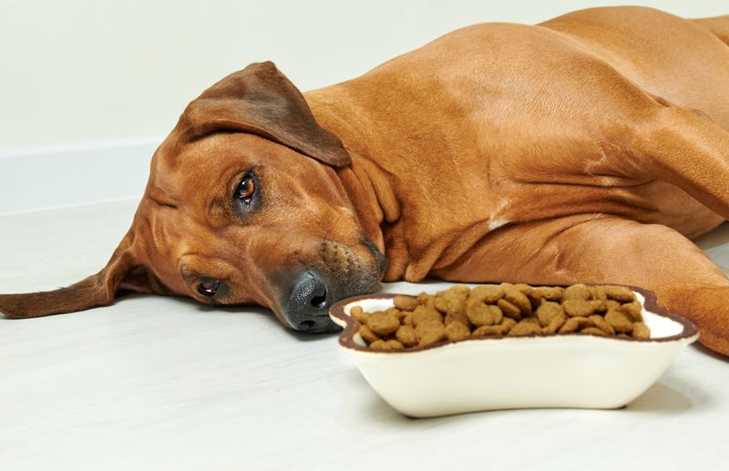 Unusual Eating Habits
