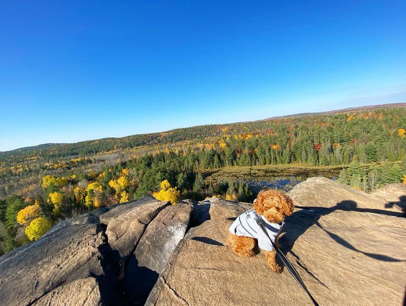 Eagle's Nest Trail