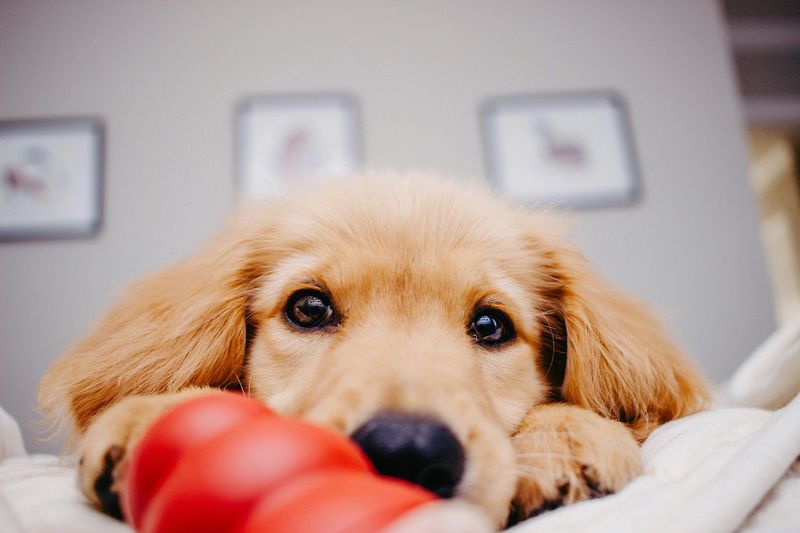 Peanut Butter