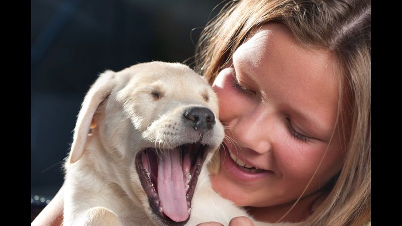 Yawning After You