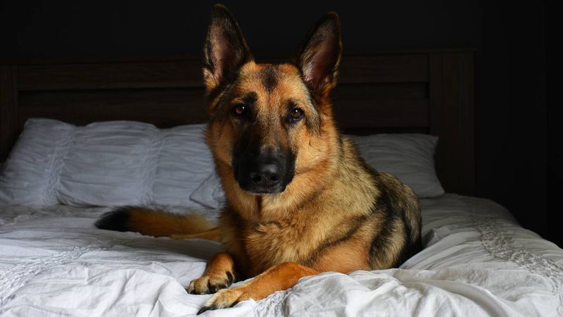 Bedtime Vigil