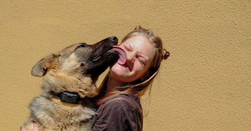 Licking Your Face