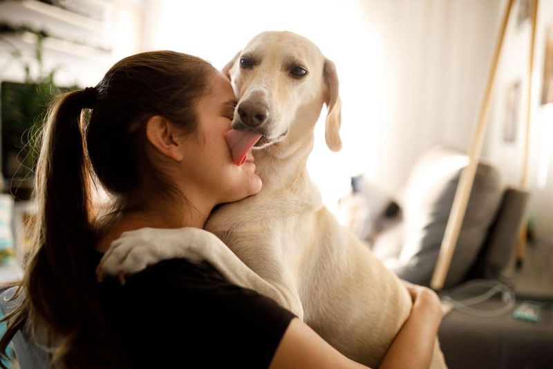 Licking Your Face