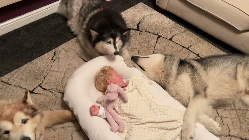 Protective Instincts