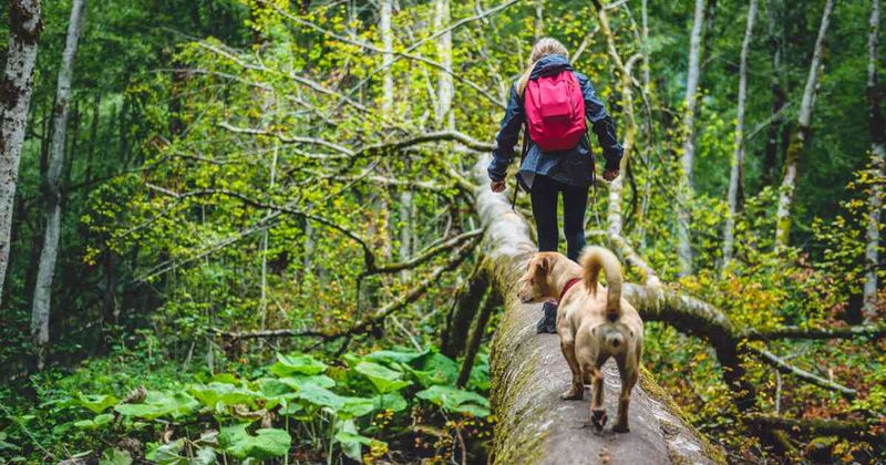 The Outdoor Enthusiast