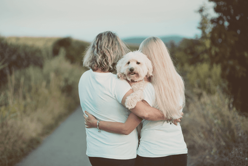 The Helicopter Parent