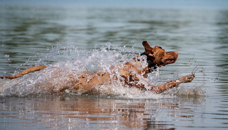 Their Joy in Water Play