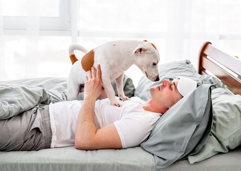 The Morning Alarm