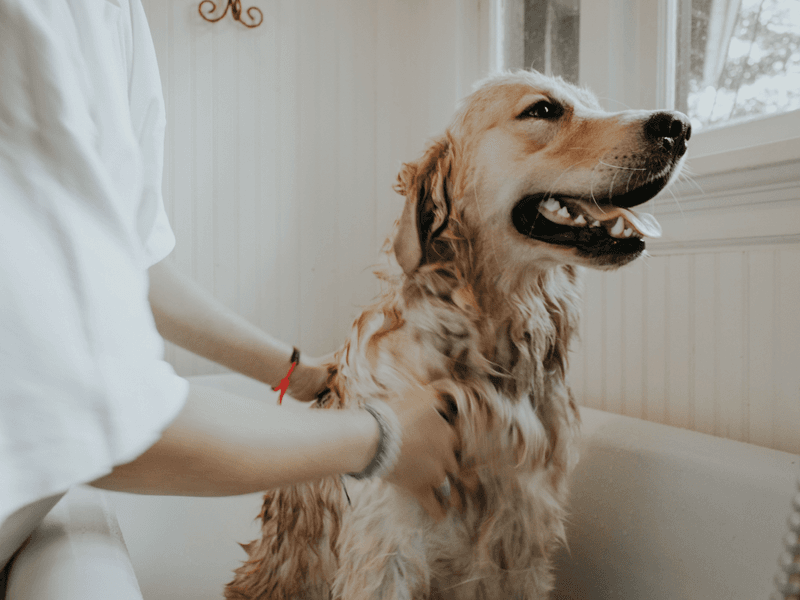 Gentle Skin Care