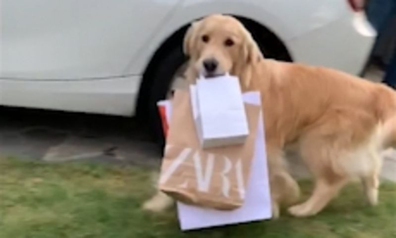 The Impulsive Shopper