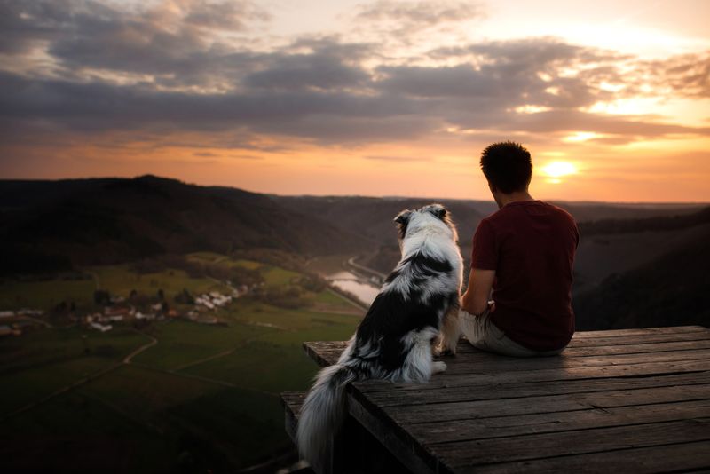 Timeless Companionship