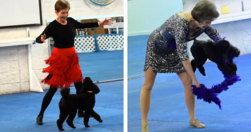 Canine Freestyle Dance