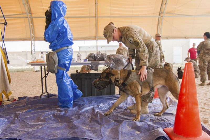 Detection of Hazardous Materials
