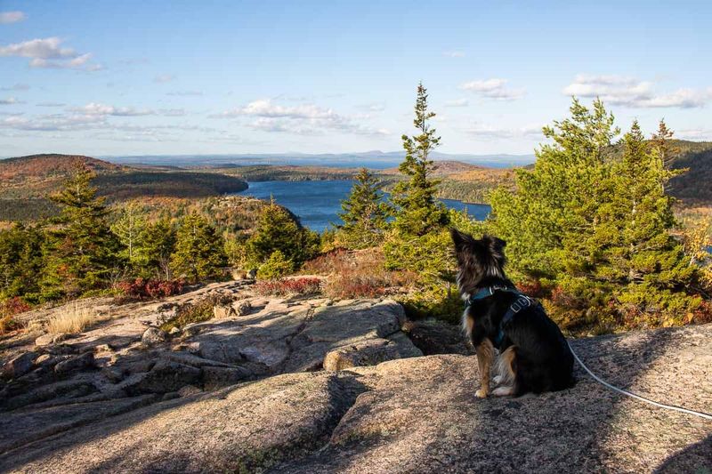Acadia National Park