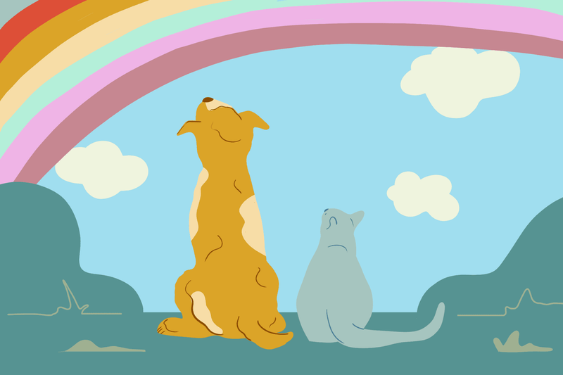 The Rainbow Bridge