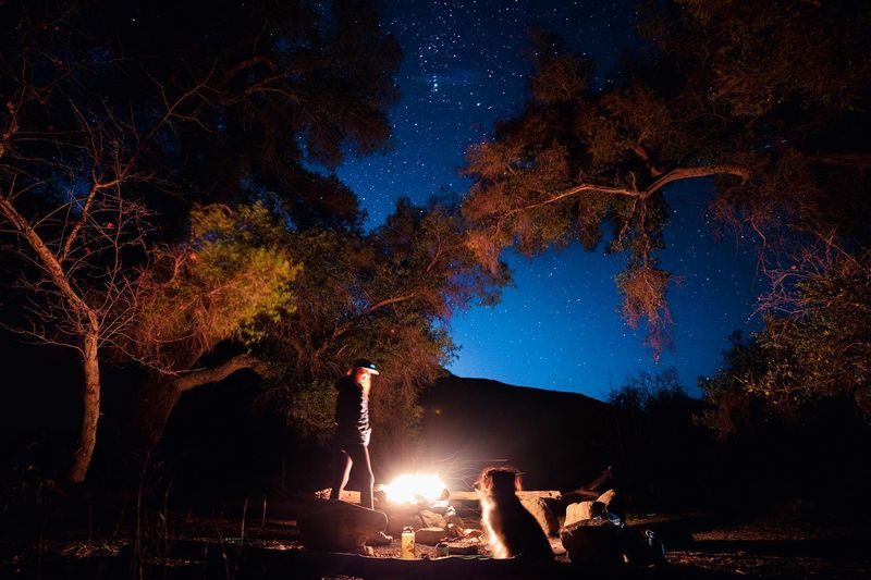 Camping Under the Stars
