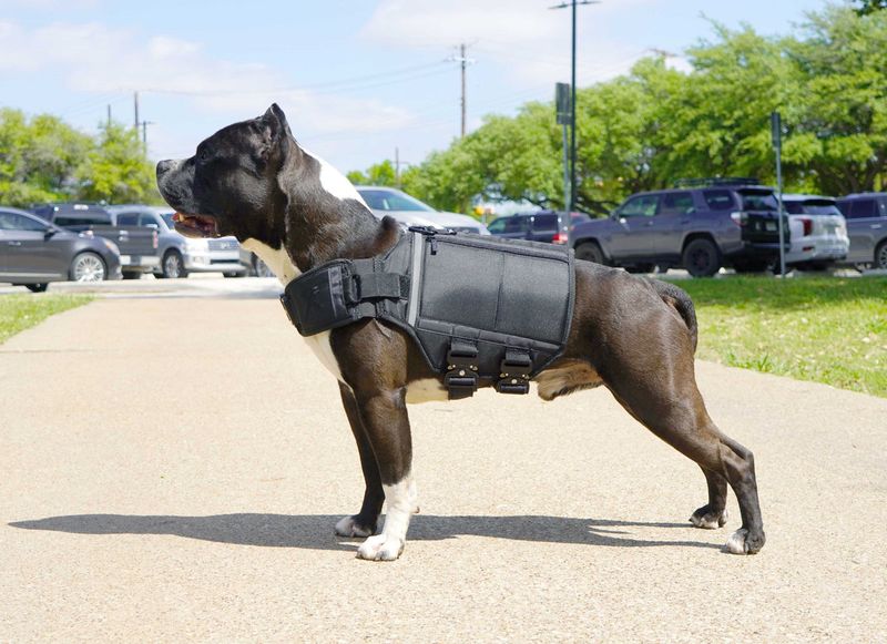 Weighted Anxiety Vest