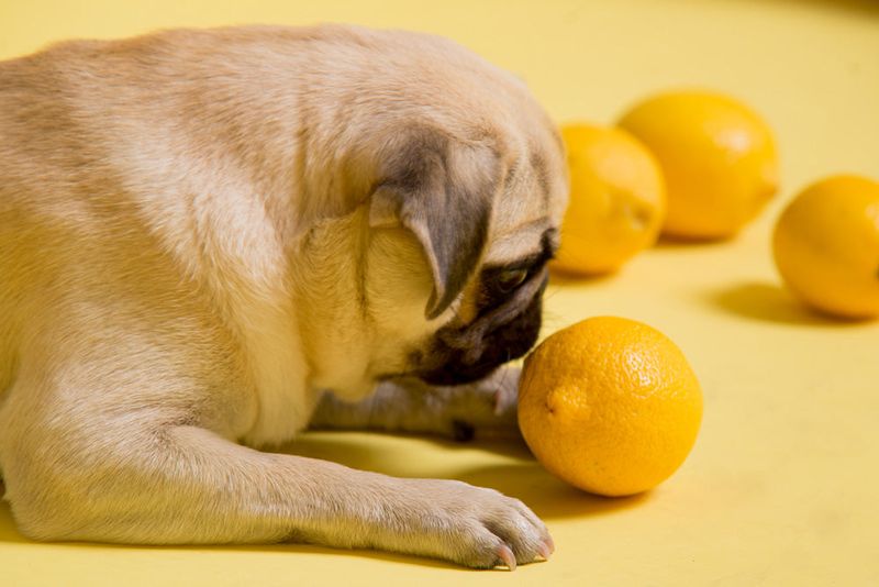 Lemons