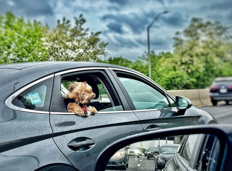 Car Rides
