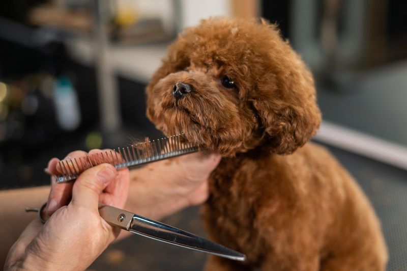 Grooming Rituals