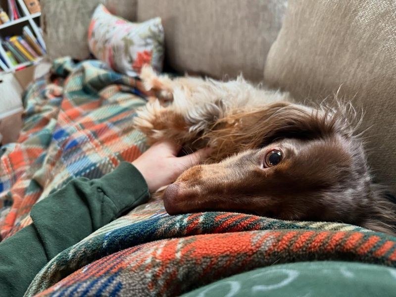 Cuddling on the Couch
