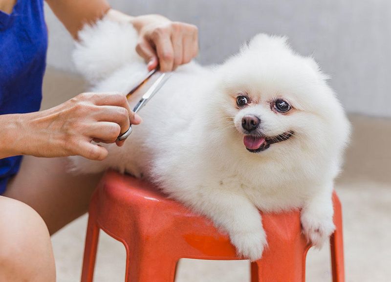 Grooming Routines
