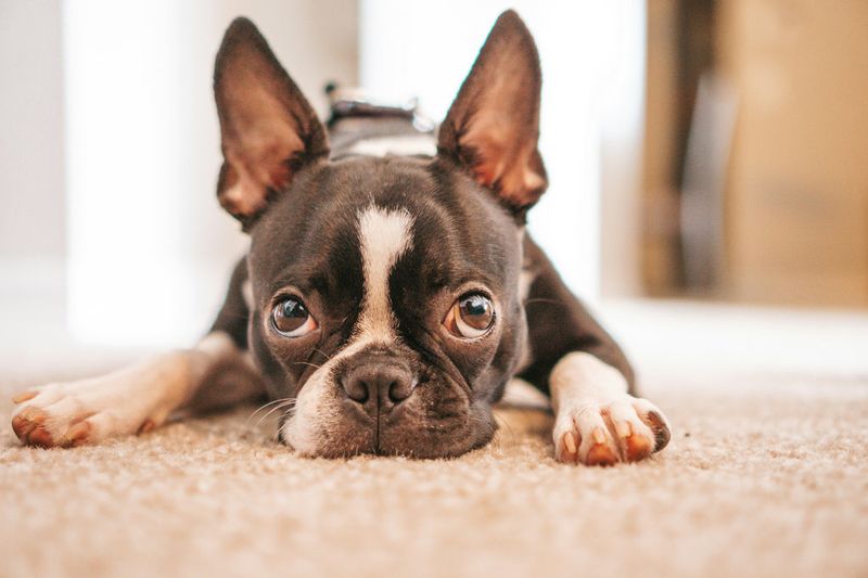 Expressive Eyes