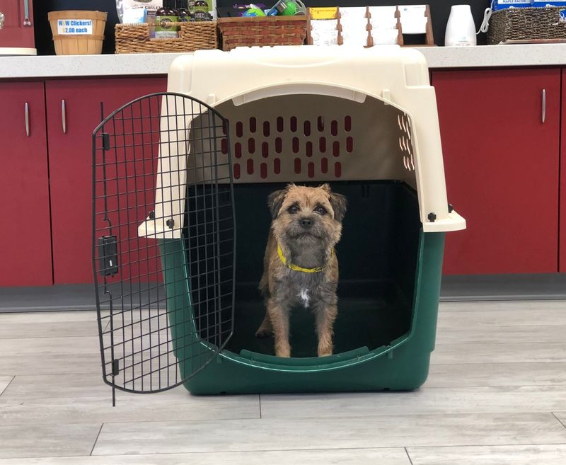 Facilitates Routine Vet Visits