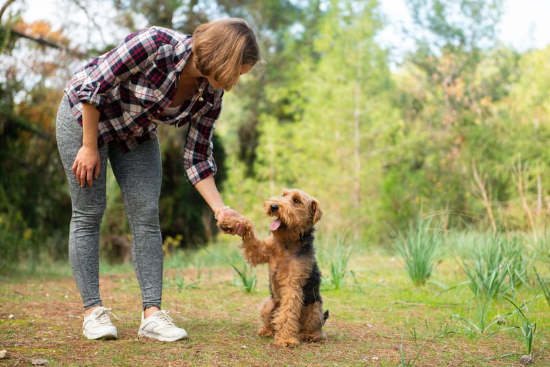 Trick 2: Positive Reinforcement