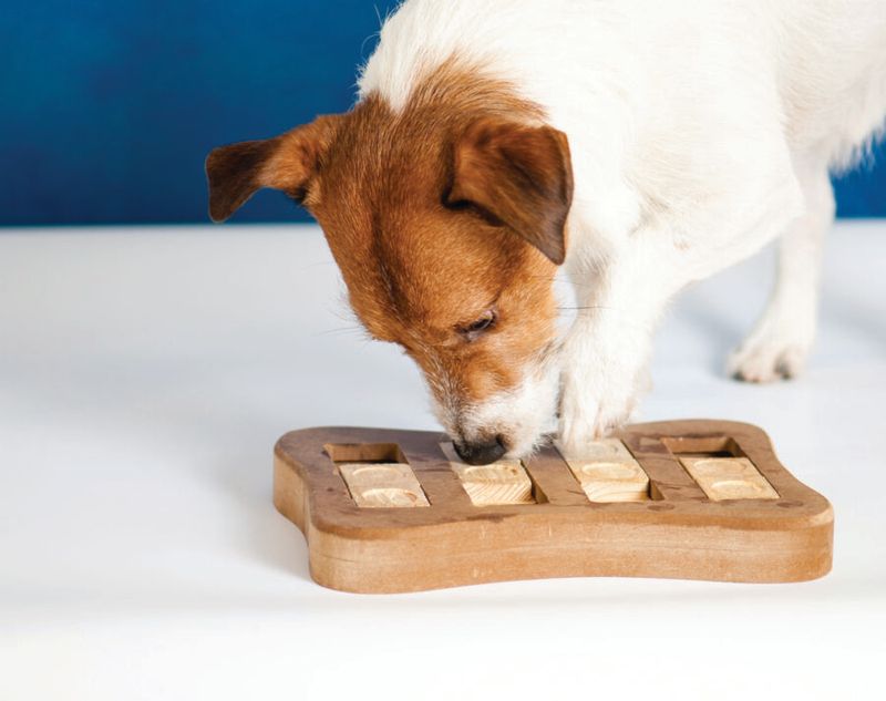 Trick 3: Mental Stimulation