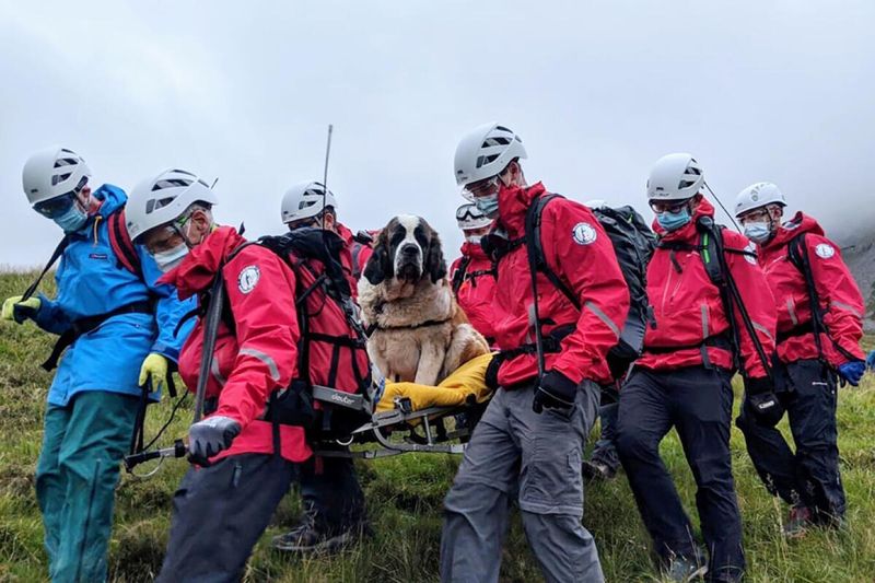 Search and Rescue Missions