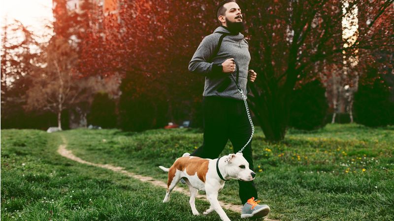Exercise Partner