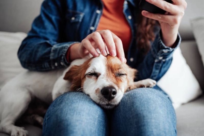 Stress Relief Through Play