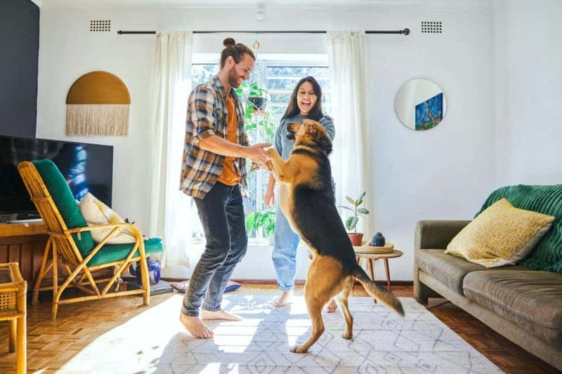 Dance Partner