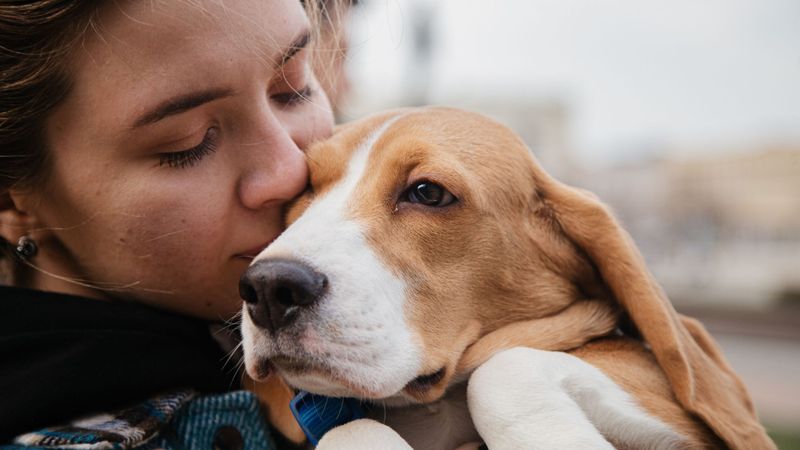 The Healing Power of Grief