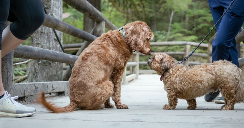 Ignoring Personality Clashes