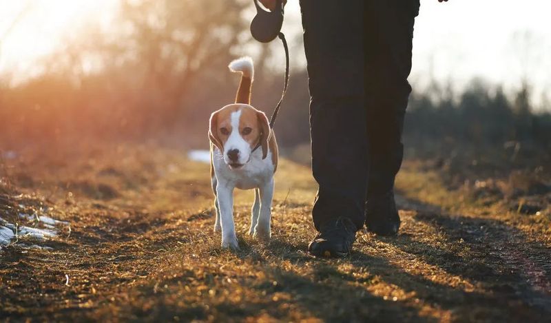 Understand: Walk