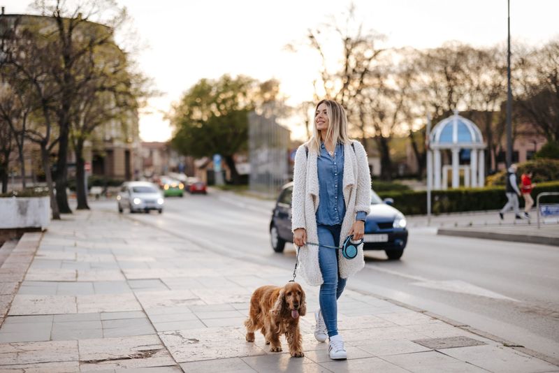 Mastering the Walk