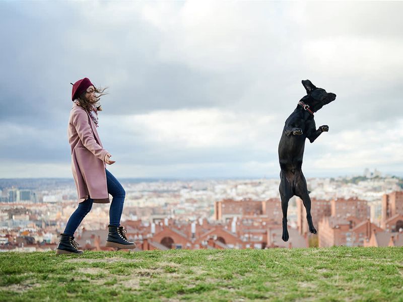 Confounded by Human Dancing