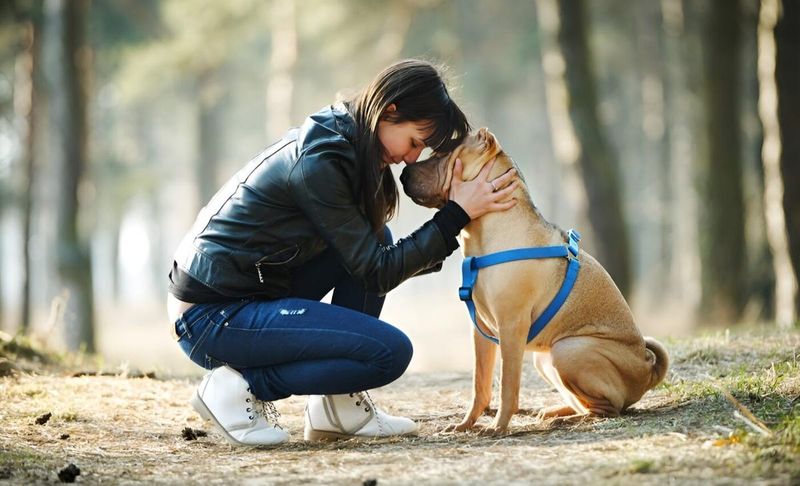Canine Communication