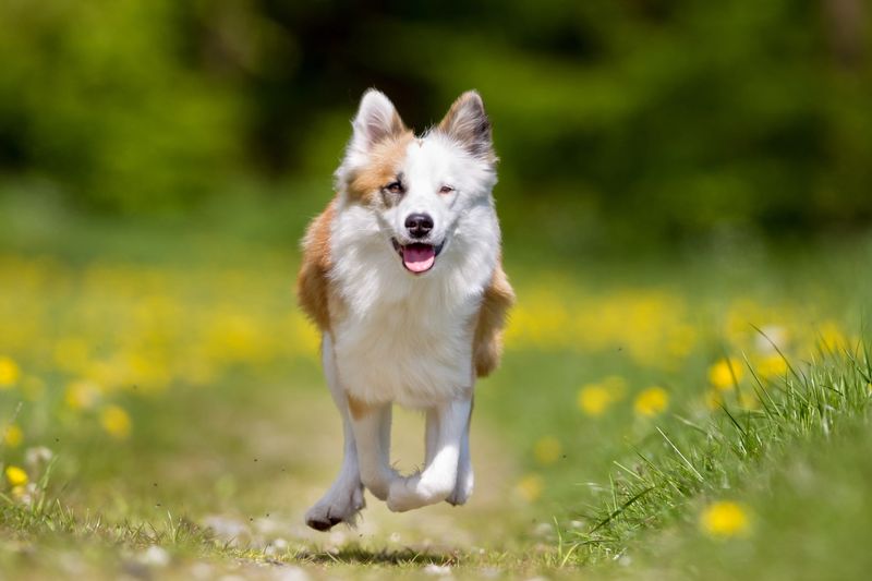 Playful and Energetic Spirits