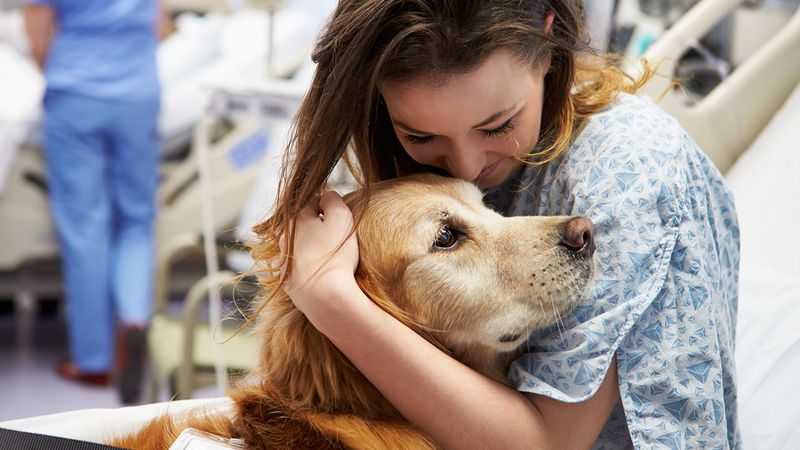 Empathetic Companions
