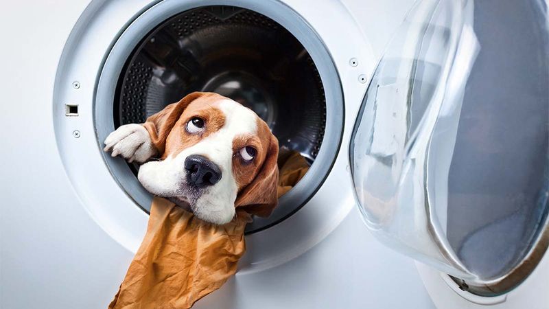 Add Fabric Softener
