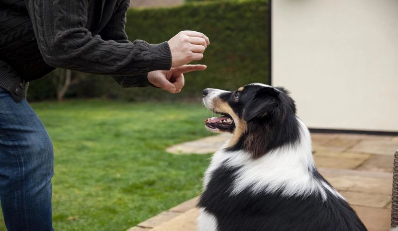 Providing Gentle Training