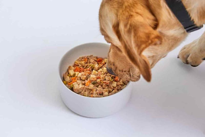 Incorrect Feeding Portions