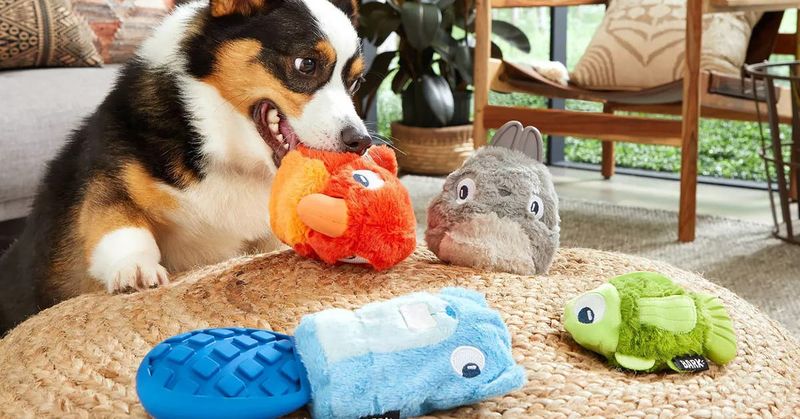 Exploring New Toys