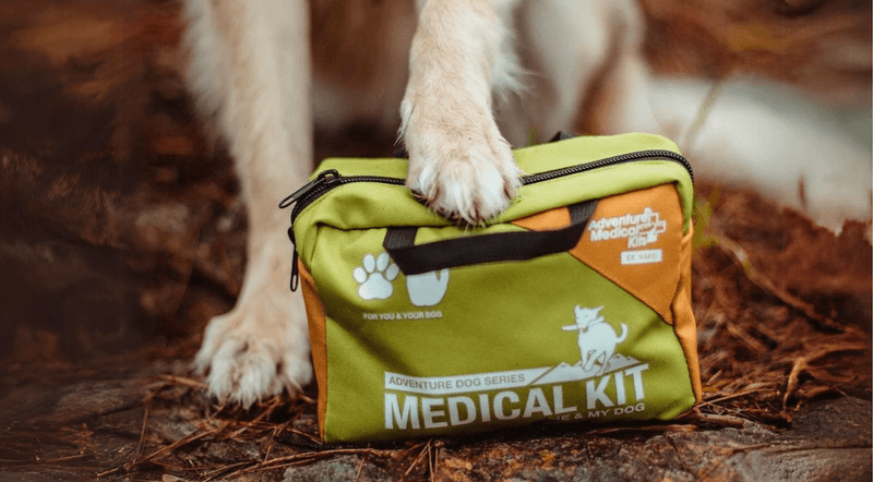 Pet-Specific Medications