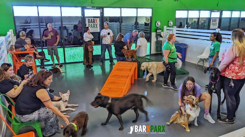 Social Activities with Pets