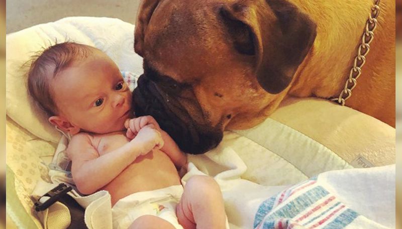 Watching Over Babies